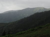 201907 - Abwurfstangenschau Rauschalm